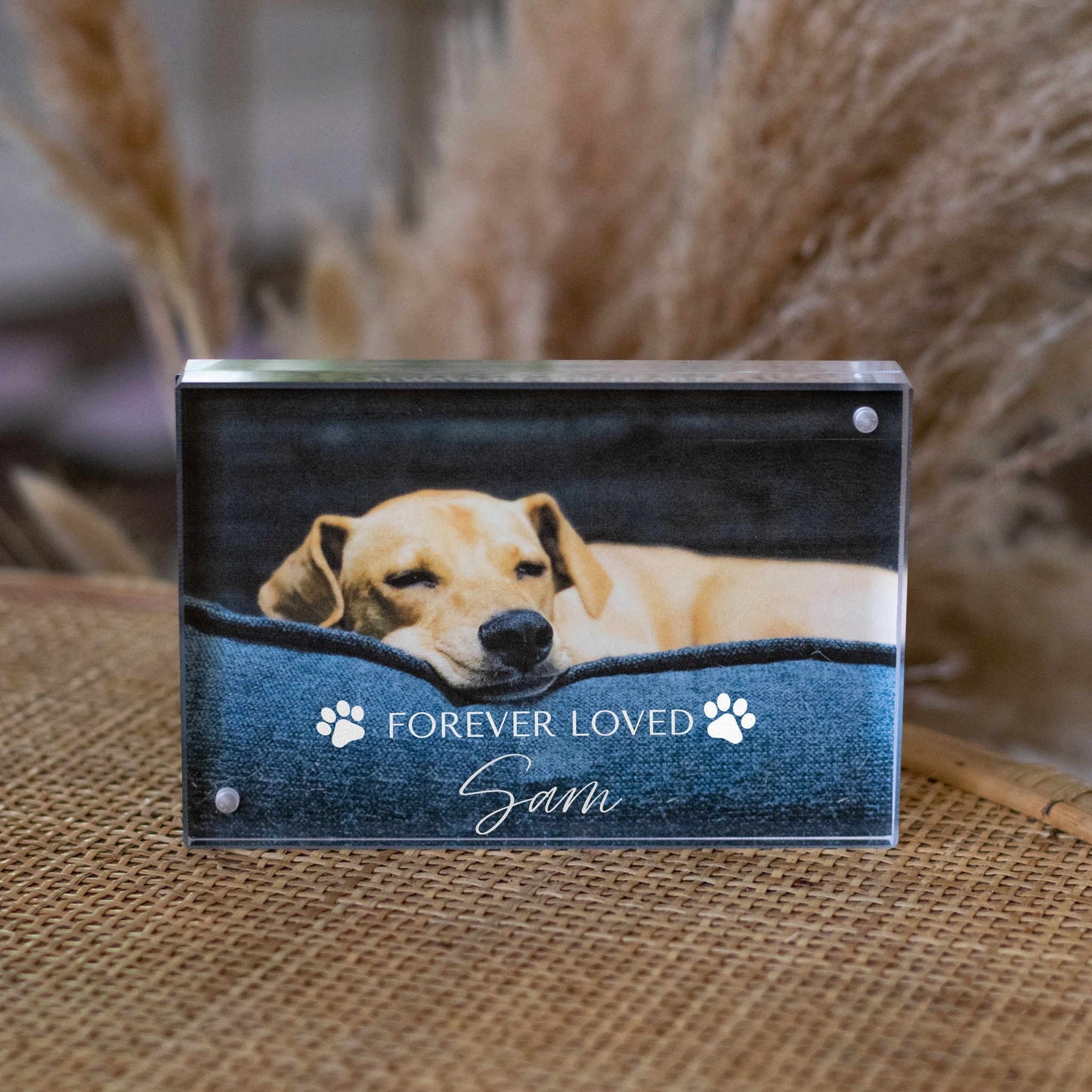 The Forever Frame - Personalized Pet Memorial Photo Display