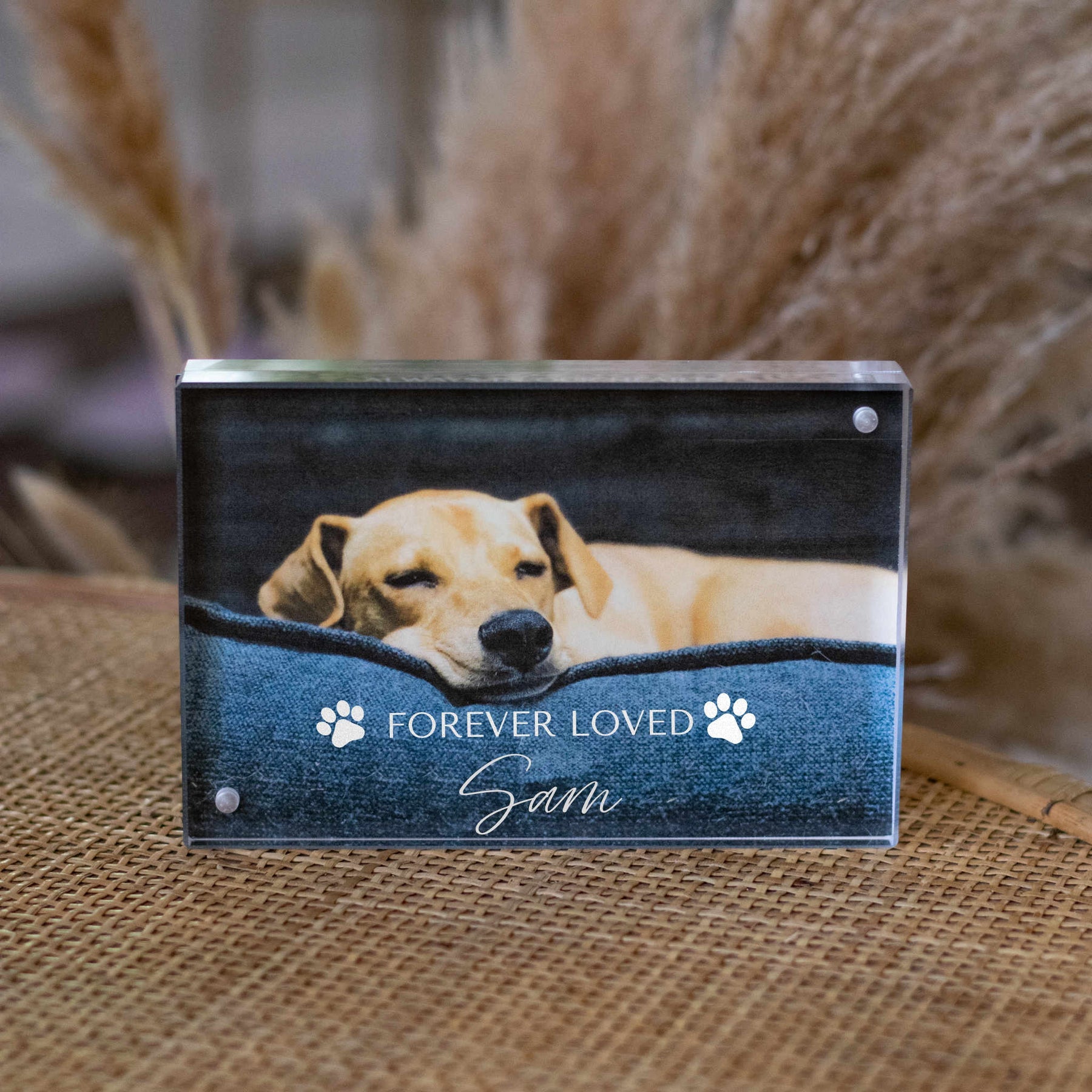 The Forever Frame - Personalized Pet Memorial Photo Display