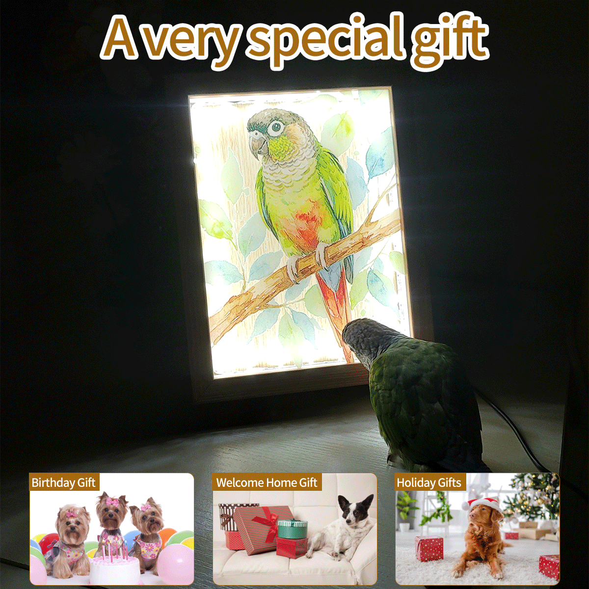 Personalized Pet Photo Frame Light -A heartwarming home decor gift designed especially for pet lovers