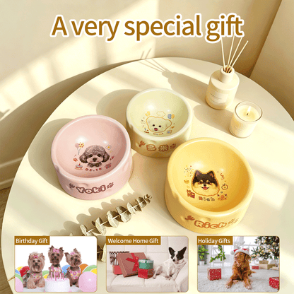 Personalized Ceramic Pet Bowl - Custom Illustrated Pet Portrait & Name, Unique Food/Water Feeder for Dogs & Cats