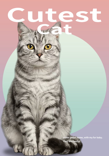 Custom Pet Photo Mural Lamp, Personalized Dog Cat Framed Wall Light, USB Rechargeable Motion Sensor Decor Lamp