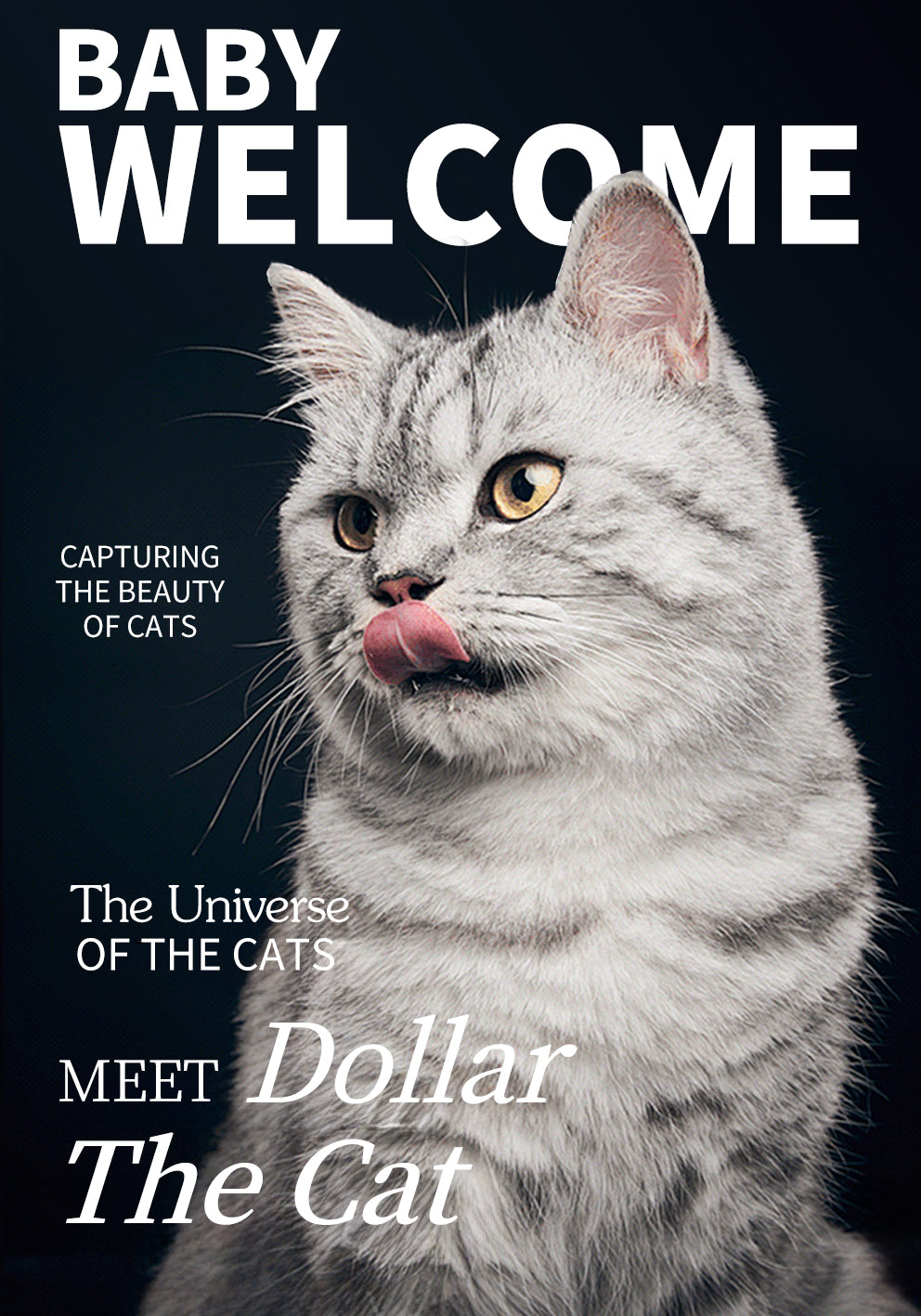 Custom Pet Photo Mural Lamp, Personalized Dog Cat Framed Wall Light, USB Rechargeable Motion Sensor Decor Lamp