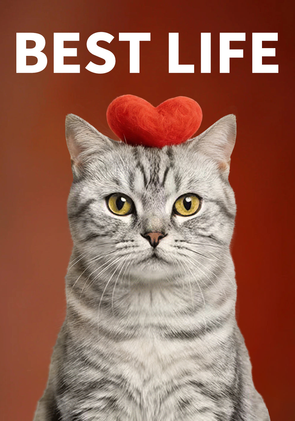 Custom Pet Photo Mural Lamp, Personalized Dog Cat Framed Wall Light, USB Rechargeable Motion Sensor Decor Lamp