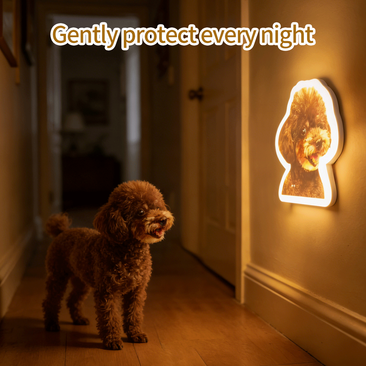 Custom Pet Photo Wall Lamp, Personalized Dog Cat Shaped Night Light, USB Rechargeable Decorative Lamp