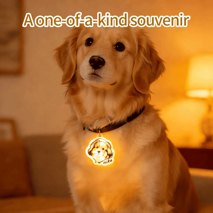 Custom Pet Photo Pat Switch Light, Personalized Dog Cat Keychain Light, USB Rechargeable Tap Pendant Light